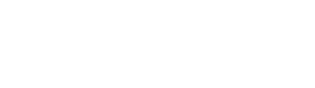 SkyHigh Global White Logo